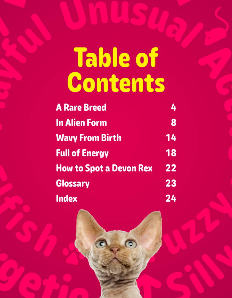 Hello Kitty Cats! Devon Rexes book cover
