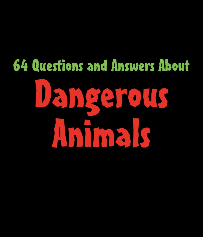 64 Questions & Answers About Dangerous Animals book cover