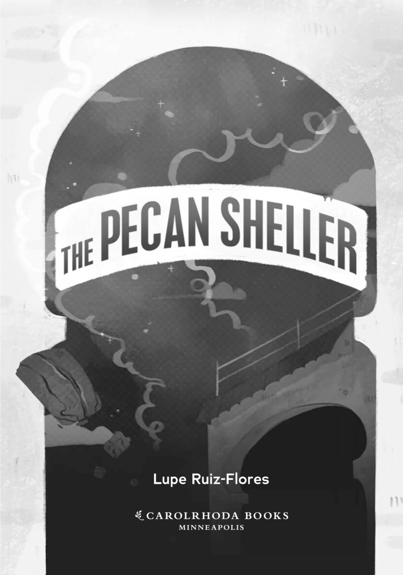 The Pecan Sheller book cover