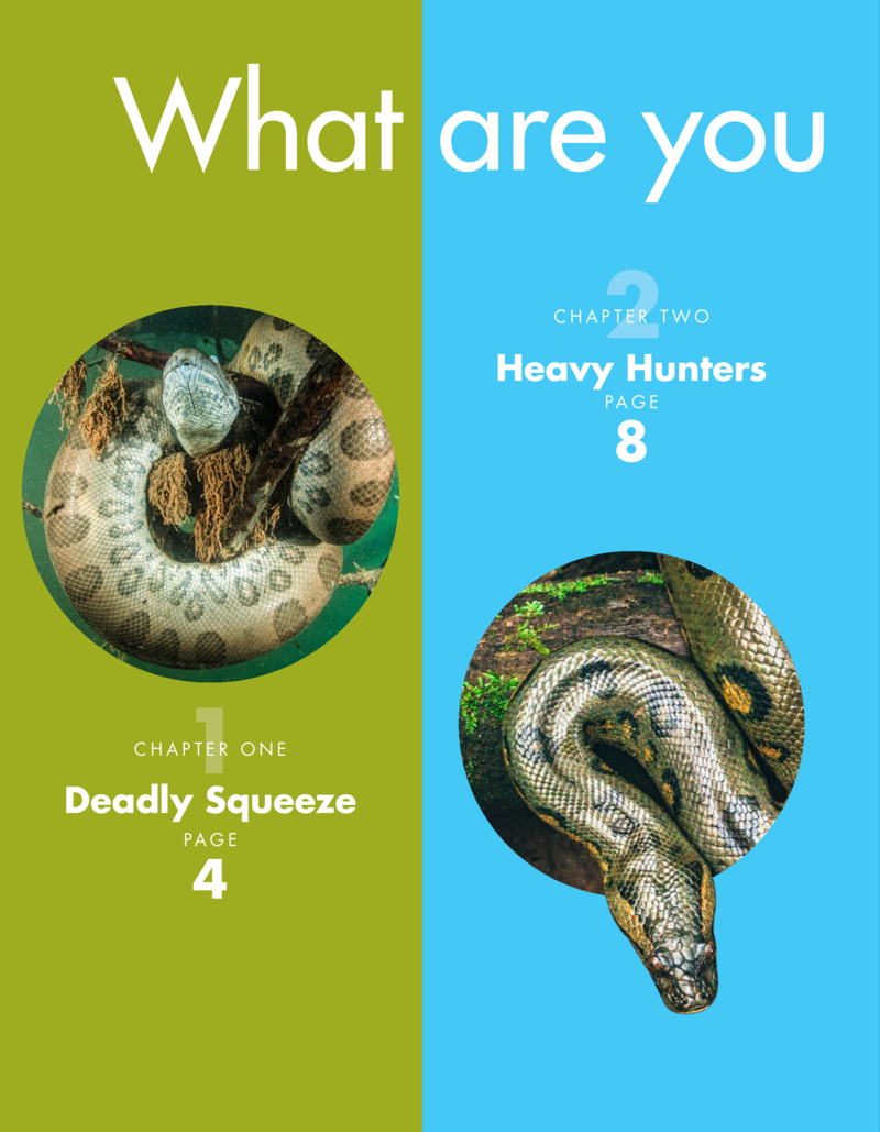 Curious about Anacondas — page 1