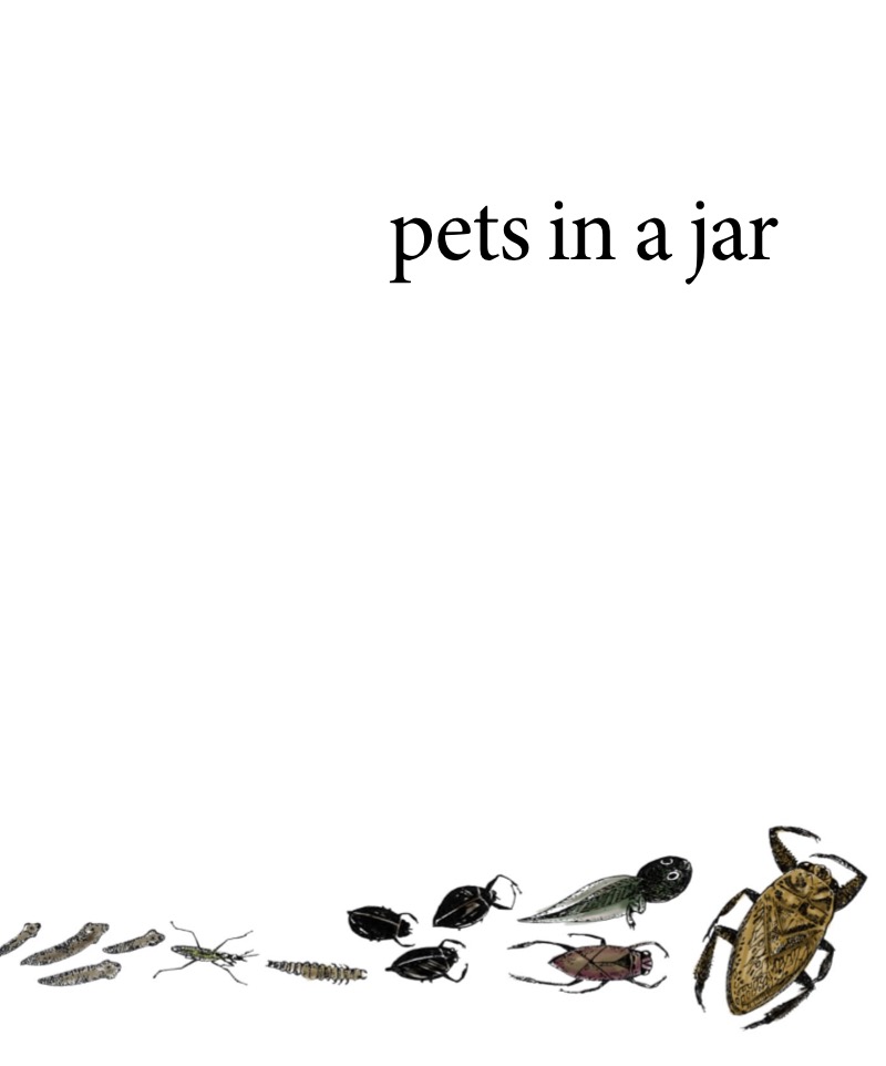 Pets In A Jar book cover