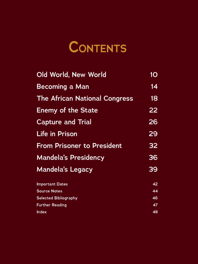 Nelson Mandela: World Leader for Human Rights book cover